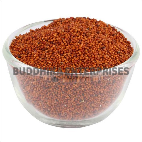 Organic Ragi Seeds